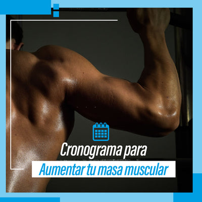 ¿Cómo aumentar masa muscular?